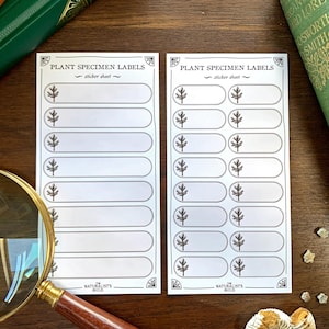 Plant Specimen Adhesive Label Sheet - Botanical Specimen Labels