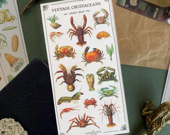 May include: Vintage sticker sheet featuring illustrations of various crustaceans, including crabs, lobsters, and shrimp. The sticker sheet is white with a black border and the text "Vintage Crustaceans" and "sticker sheet" in black.