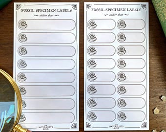 Fossil Specimen Adhesive Label Sheet - Fossil-Collection Sticky Backed Labels