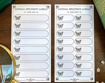 Insect Specimen Adhesive Label Sheet - Cabinet of Curiosity Labels