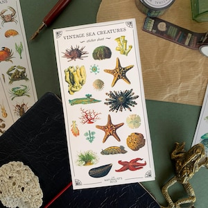 May include: Vintage sticker sheet featuring illustrations of various sea creatures, including starfish, seahorses, and coral. The sticker sheet is titled "Vintage Sea Creatures" and has the text "sticker sheet" below the title.
