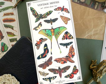 Vintage Moth Sticker Sheet: Colorful Insect Planner Stickers