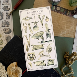 Puede incluir: Una hoja de pegatinas titulada "DINOSAUR BONES" con ilustraciones de varios huesos de dinosaurios. La hoja está rodeada de otros artículos de papelería, incluyendo un rollo de cinta decorativa y otras hojas de pegatinas con ilustraciones de fósiles y dinosaurios.