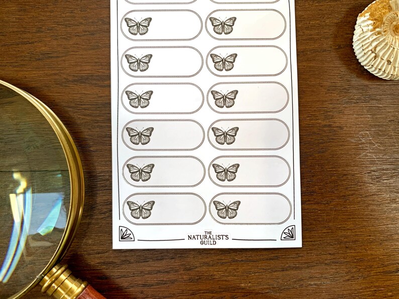Inct Label Insect Specimen Adhesive Label Sheet - Cabinet of Curiosity Labels - Etsy