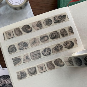 May include: Washi tape with vintage illustrations of seashells and fossils. The tape is applied to a white notebook page, with a roll of tape visible. The illustrations are in black and white. Ideal for crafts and journaling.