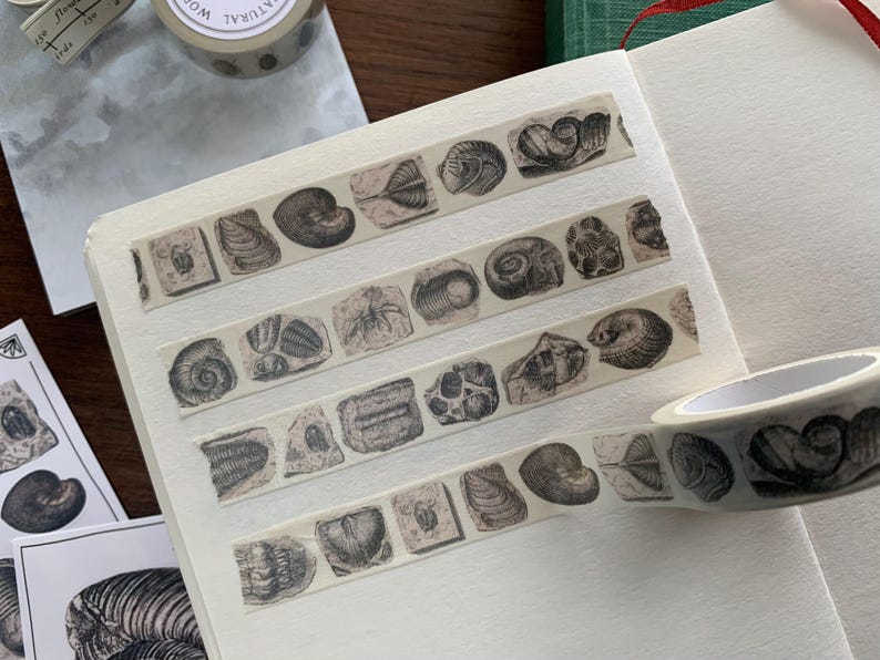 May include: Washi tape with vintage illustrations of seashells and fossils. The tape is applied to a white notebook page, with a roll of tape visible. The illustrations are in black and white. Ideal for crafts and journaling.