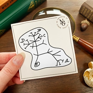 Darwin's Tree of Life Vinyl Sticker: Natural Science Accessory