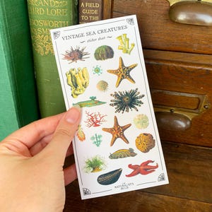 May include: Vintage sticker sheet featuring a variety of sea creatures, including starfish, seahorses, and shells. The sheet is white with a light blue border and the text "Vintage Sea Creatures" and "Sticker Sheet".
