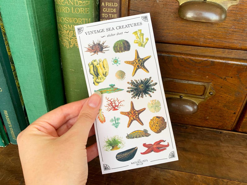 May include: Vintage sticker sheet featuring a variety of sea creatures, including starfish, seahorses, and shells. The sheet is white with a light blue border and the text "Vintage Sea Creatures" and "Sticker Sheet".