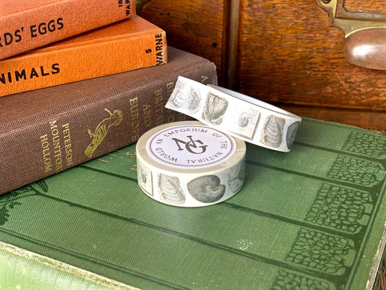 May include: Washi tape with seashell designs, labelled "An Emporium of the Natural World." The tape is shown on a green book, with other books in the background. The image also shows the text "EUROPE" and "BRITAIN".