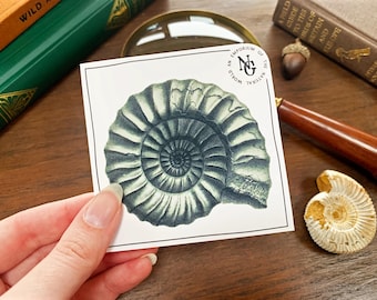 Ammonite Fossil Vinyl Sticker: Natural History Fossil-Hunter's Small Gift