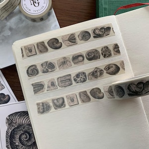May include: Washi tape with a vintage design of fossil and shell illustrations in black and white on a beige background. The image shows a roll of tape and strips of tape on a notebook. The tape is for crafts.