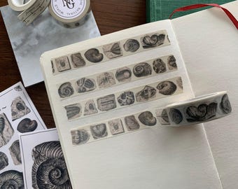 Fossils Natural History Washi Tape: Fossil Hunter's Nature Stationery Gift