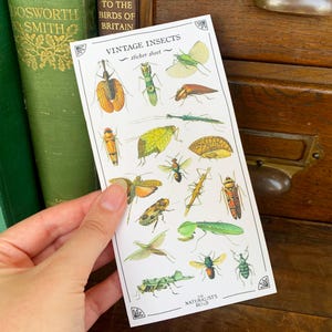 May include: A sheet of vintage insect stickers with a variety of colorful insects, including butterflies, beetles, and moths. The sticker sheet is white with black text that reads "Vintage Insects - sticker sheet - The Naturalists Guild".