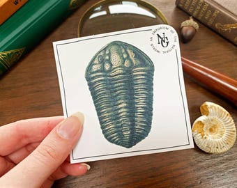 Trilobite Fossil Vinyl Sticker: Natural Pre-History Phone Accessory