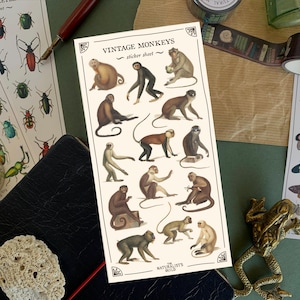 Op de afbeelding: Een stickerblad getiteld "Vintage Monkeys" met illustraties van verschillende apensoorten. De afbeelding bevat andere briefpapierartikelen, zoals insectenstickers, washitape en een klein kikkerbeeldje.