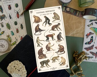Vintage Monkeys Sticker Sheet: Primate Stickers for Animal Theme Bullet Journal