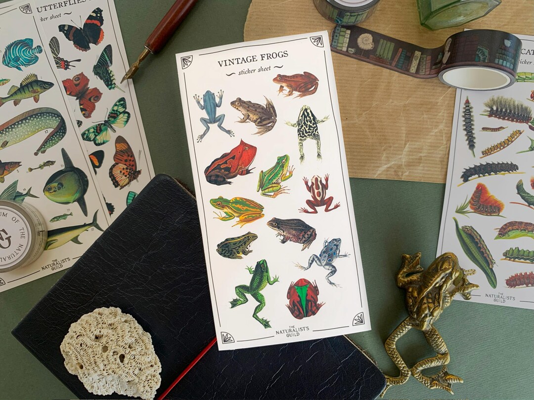 Vintage Frog Sticker Sheet: Green Academia Planner Stickers - Etsy New ...