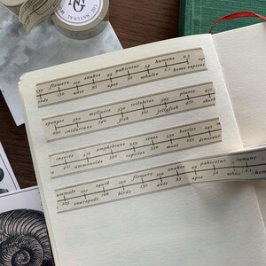 May include: An open notebook with printed timeline strips showing various life forms, including flowers, insects, and humans. The strips are adhered to the pages. A red ribbon and a roll of decorative tape are also visible.