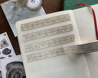 Natural History Animal Timeline Washi Tape: First Evidence of Animals Planner Tape
