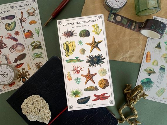 Vintage Sea Creatures Sticker Sheet: Marine Biology Planner Stickers