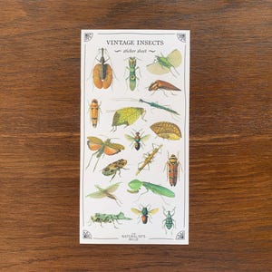 May include: Vintage Insects sticker sheet with 16 different insect illustrations. The insects are drawn in a vintage style and include a variety of species, such as butterflies, moths, beetles, and dragonflies. The sticker sheet is printed on high-quality paper and is perfect for adding a touch of whimsy to your projects.