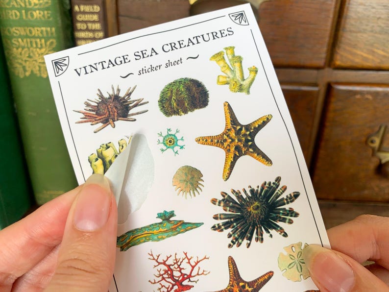 May include: A sheet of vintage sea creature stickers. The stickers feature a variety of sea creatures, including starfish, sea urchins, coral, and seaweed. The sheet is white with black text that reads "Vintage Sea Creatures sticker sheet".
