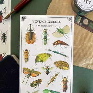 May include: A sheet of vintage insect stickers with a variety of colorful insects, including beetles, butterflies, and moths. The sticker sheet is titled "Vintage Insects" and includes the text "sticker sheet".