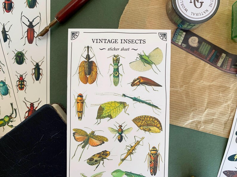 May include: A sheet of vintage insect stickers with a variety of colorful insects, including beetles, butterflies, and moths. The sticker sheet is titled "Vintage Insects" and includes the text "sticker sheet".