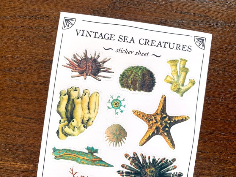 May include: Vintage sticker sheet featuring sea creatures, including a starfish, sea urchins, coral, and a sponge. The sheet has the text "Vintage Sea Creatures - sticker sheet -" printed on it.
