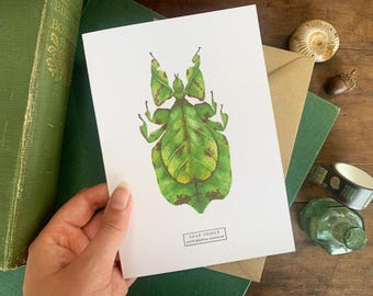 Leaf Insect Greetings Card: Watercolor Entomology Art