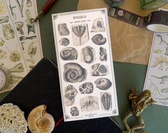 Fossils Sticker Sheet: Vintage Archaeology Planner Stickers