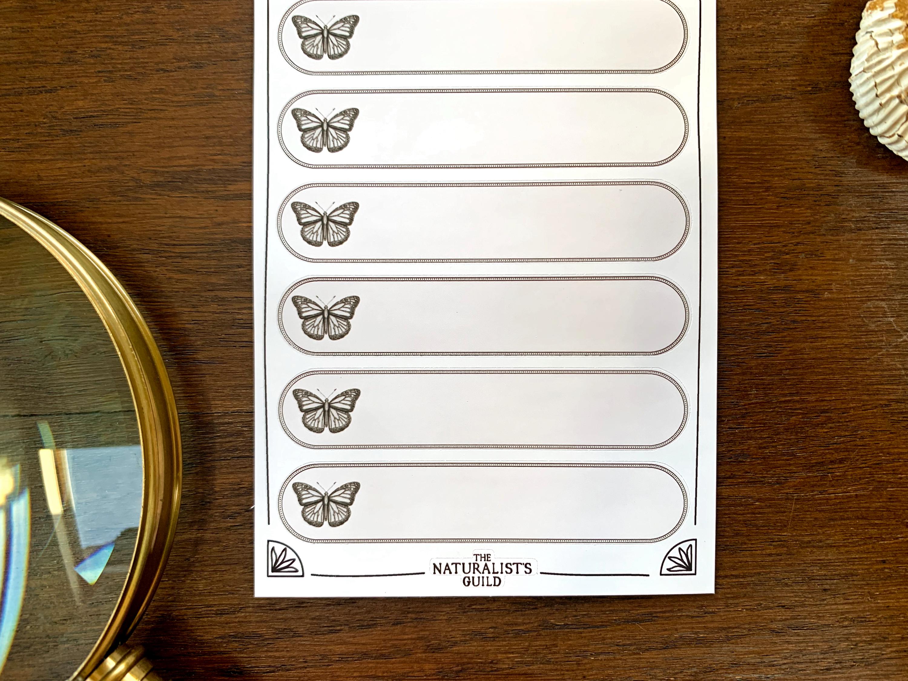 Insect Specimen Adhesive Label Sheet - Cabinet of Curiosity Labels - Etsy