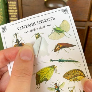 May include: A sheet of vintage insect stickers with a variety of insects, including a dragonfly, a butterfly, a beetle, and a moth. The sheet is labeled "Vintage Insects - sticker sheet".