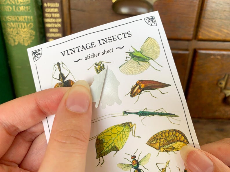 May include: A sheet of vintage insect stickers with a variety of insects, including a dragonfly, a butterfly, a beetle, and a moth. The sheet is labeled "Vintage Insects - sticker sheet".