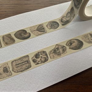 May include: Washi tape with a repeating pattern of vintage seashell illustrations in brown and beige. The tape is unrolled, showing detailed drawings of various shells and fossils. Ideal for crafts and scrapbooking projects. The tape is approximately 1.5 cm wide.