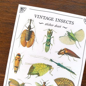 May include: A sheet of vintage insect stickers. The sheet features a variety of insects, including a green praying mantis, a brown beetle, a green dragonfly, and a brown grasshopper. The sheet is titled "Vintage Insects - sticker sheet -"