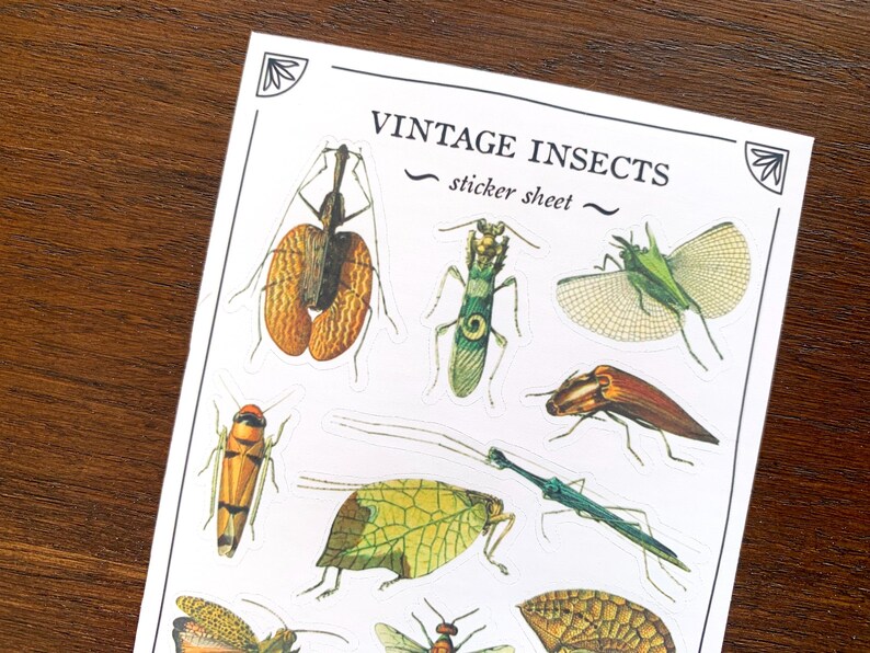 May include: A sheet of vintage insect stickers. The sheet features a variety of insects, including a green praying mantis, a brown beetle, a green dragonfly, and a brown grasshopper. The sheet is titled "Vintage Insects - sticker sheet -"
