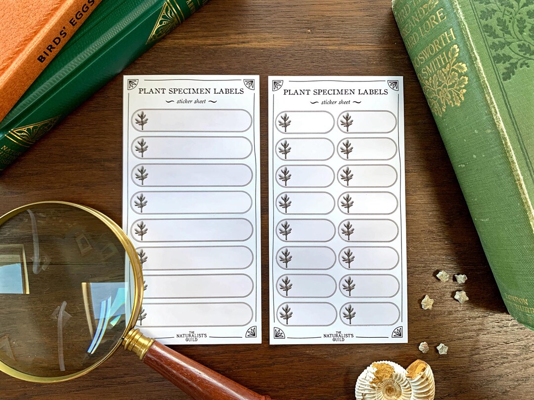Plant Specimen Adhesive Label Sheet - Botanical Specimen Labels - Etsy