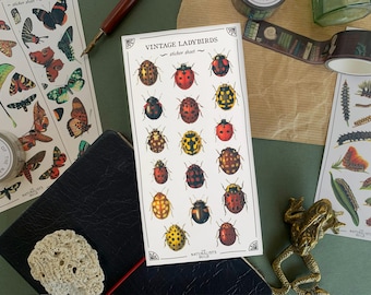 Vintage Ladybirds Sticker Sheet, Colorful Nature Stickers