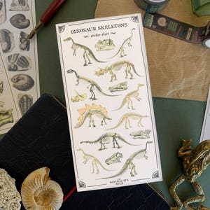 Dinosaurier-Skelett-Aufkleber Blatt, Paläontologie und Dinosaurier-Liebhaber Aufkleber, Naturgeschichte Aufkleber Blatt, Museum Liebhaber Schreibwaren Geschenk