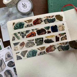 Puede incluir: Un cuaderno abierto con cinta adhesiva decorativa con ilustraciones de varios minerales y rocas. También se ven hojas de pegatinas con ilustraciones de fósiles, un rollo de cinta adhesiva y un tarro con la etiqueta "An Emporium of the Natural World."
