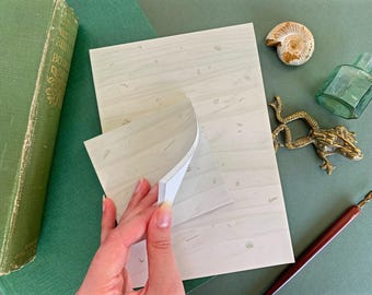 Fossil Rock Notepad: Natural History Stationery Gift