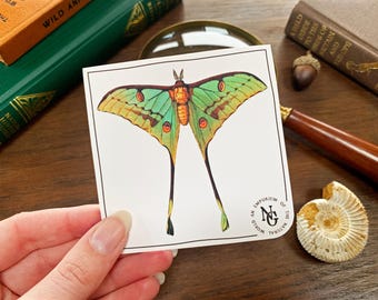 Luna Moth Vinyl Sticker: Entomology Green Witch Phone Accessory