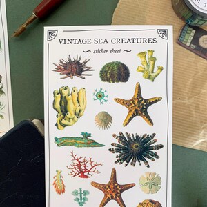 May include: Vintage Sea Creatures sticker sheet with illustrations of sea life, including starfish, sea urchins, coral, and sponges. The sticker sheet has a white background with black text that reads "Vintage Sea Creatures - sticker sheet - "