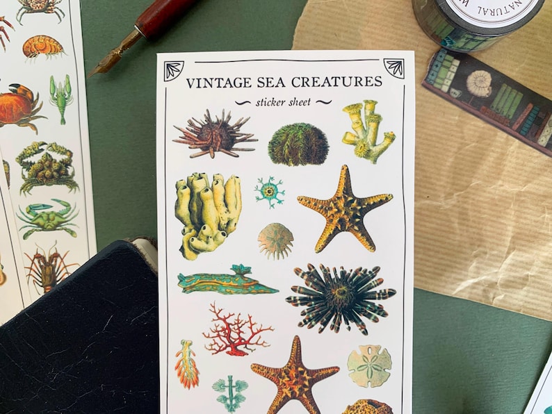 May include: Vintage Sea Creatures sticker sheet with illustrations of sea life, including starfish, sea urchins, coral, and sponges. The sticker sheet has a white background with black text that reads "Vintage Sea Creatures - sticker sheet - "