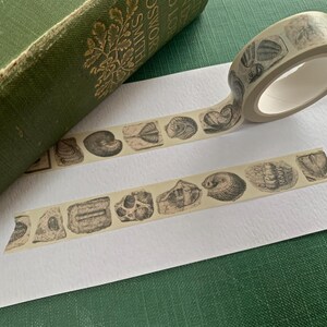 May include: Washi tape with a repeating pattern of black and white vintage seashell illustrations. The tape is beige and is displayed on a white surface next to a green book.