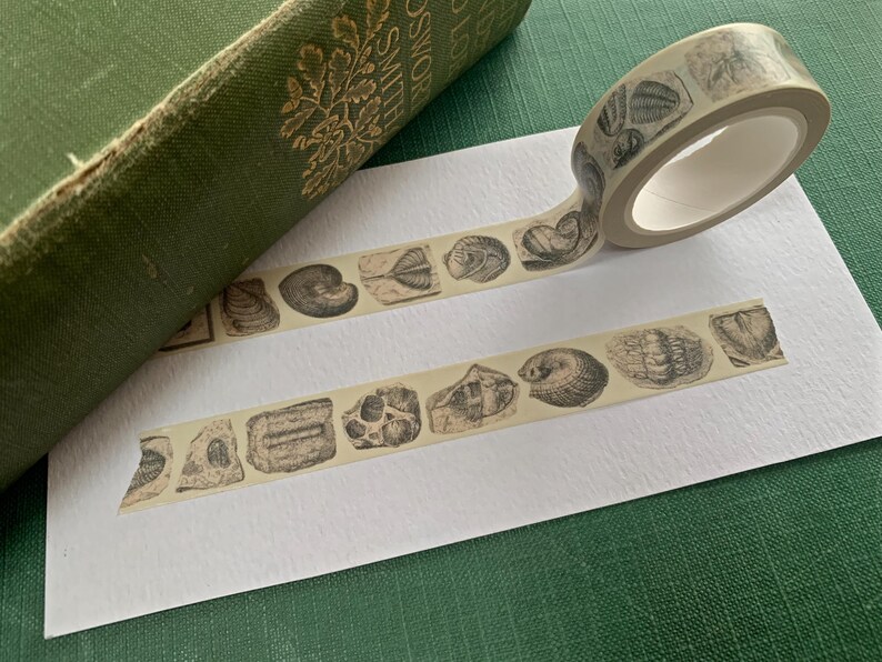 May include: Washi tape with a repeating pattern of black and white vintage seashell illustrations. The tape is beige and is displayed on a white surface next to a green book.