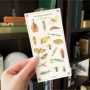 May include: A sheet of vintage insect stickers with a white background. The stickers feature a variety of insects, including butterflies, beetles, and moths. The stickers are printed in a vintage style with detailed illustrations. The sheet is labeled "Vintage Insects Sticker Sheet" and "The Naturalists Guild".