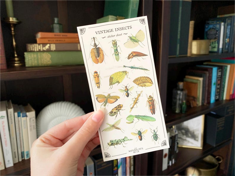 May include: A sheet of vintage insect stickers with a white background. The stickers feature a variety of insects, including butterflies, beetles, and moths. The stickers are printed in a vintage style with detailed illustrations. The sheet is labeled "Vintage Insects Sticker Sheet" and "The Naturalists Guild".